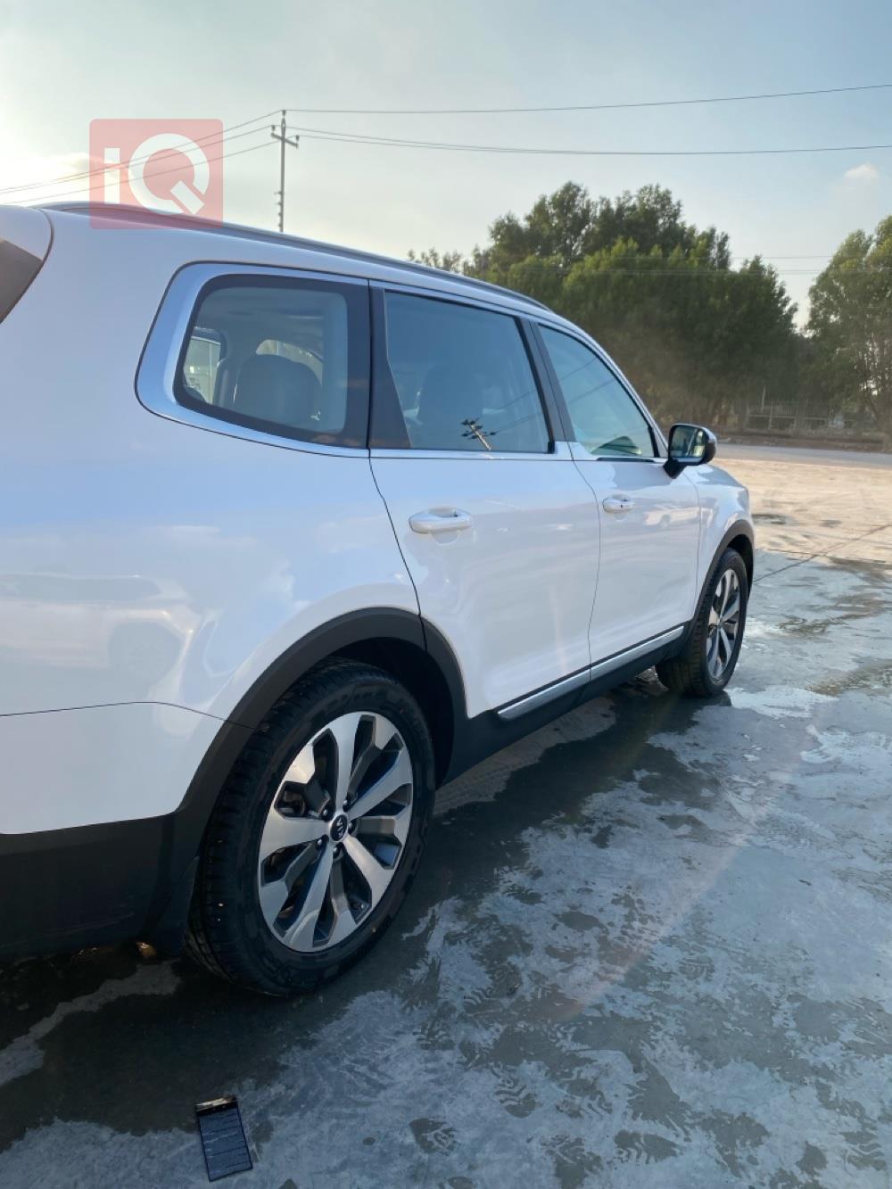 کیا تێلوراید